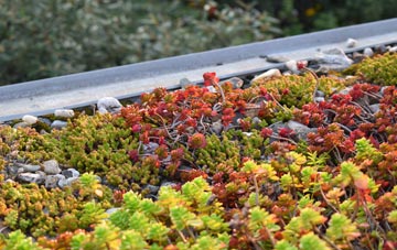 the cost of Aberkenfig green roof installation