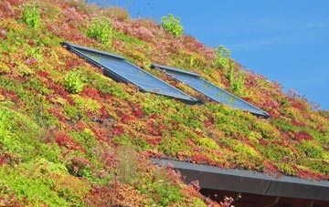 Aberkenfig living roof systems