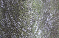 Aberkenfig fibreglass roof work